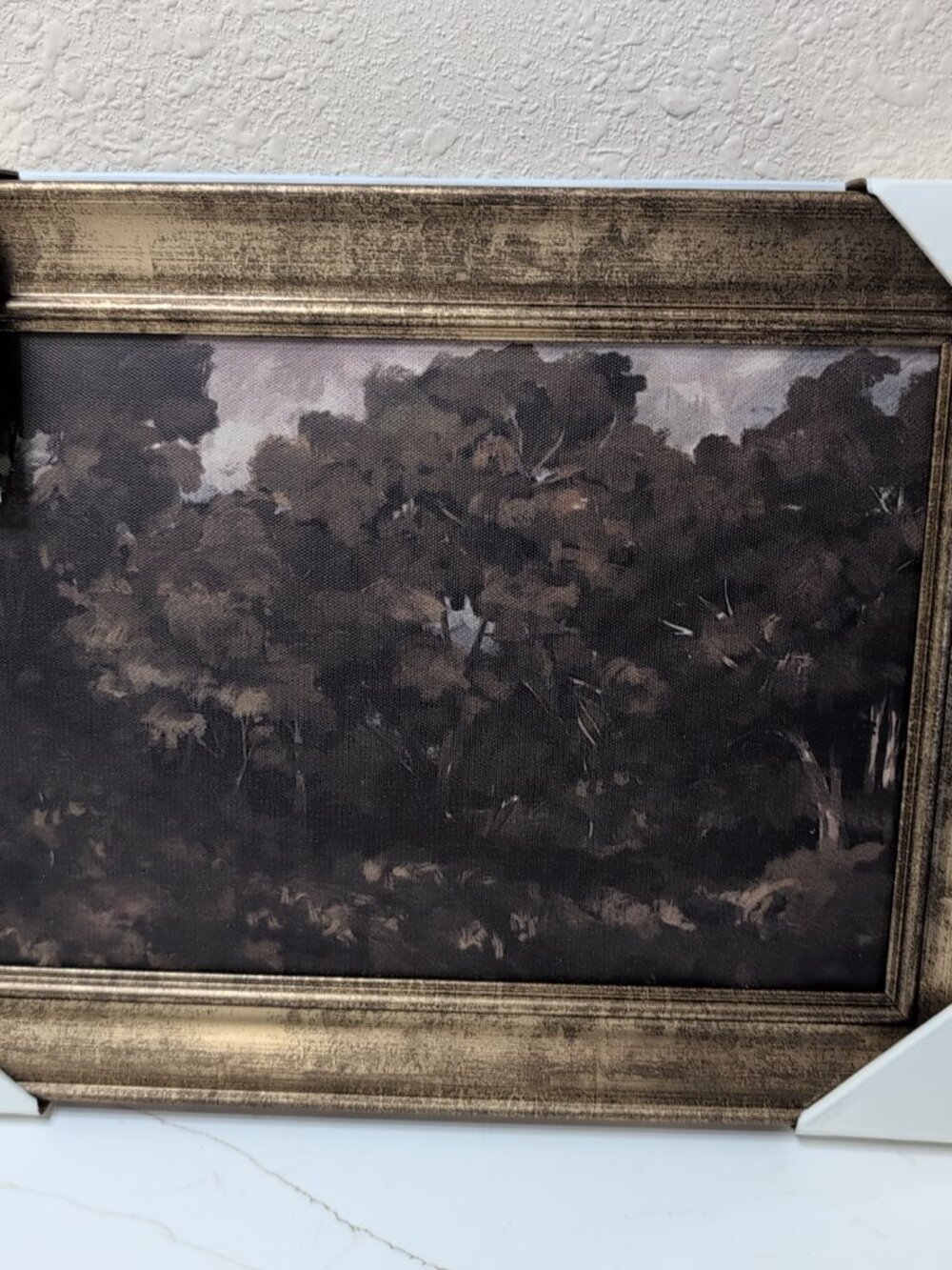 Moody Trees Threshold Studio McGee Framed Art Canvas 16x12 Inches New Landscape